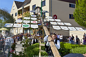 Rodgau-Dudenhofen Maibaim aufstellen 2013